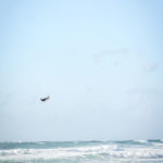 דורון בס מרחף באוויר  • בחיפה גלשו בסערה בגלי הענק (צילום: טל גור אריה)