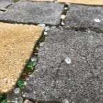 שברי זכוכיות בטיילת חוף הכרמל (צילום: ירון כרמי)