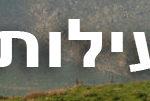 כוח צביקה טיולים חנוכה – רחב