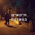 חיפאים במצוקה – חזירי הבר בשכונת כרמליה