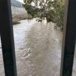 נחל הקישון גואה – קריית חרושת  (צילום: ירון כרמי)