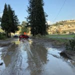 סקרנים באים לראות את אזור ההצפה – נחל הקישון גואה – קריית חרושת  (צילום: ירון כרמי)