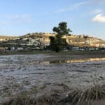 שטח הצפה – נחל הקישון גואה – קריית חרושת  (צילום: ירון כרמי)