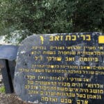 בריכת זאב – מעיין אלרואי (צילום: ירון כרמי)