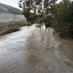 נחל הקישון גואה – קריית חרושת  (צילום: ירון כרמי)