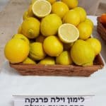 לימון – איילת (צילום: משרד החקלאות)