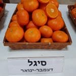 מנדרינה – סיגל (צילום: משרד החקלאות)