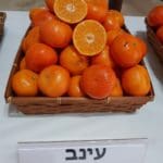 מנדרינה – עינב (צילום: משרד החקלאות)