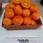 מנדרינה – תמר (צילום: משרד החקלאות)