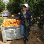 ויטלינה מוחין • קטיף עם השומר החדש בתקופת סגר הקורונה (צילום: ויטלינה מוחין)