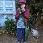 קטיף עם השומר החדש בתקופת סגר הקורונה (צילום: ויטלינה מוחין)
