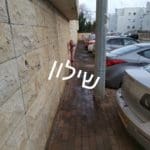 חיטוי בחיפה  (צילום: דוברות עיריית חיפה)