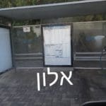 חיטוי בחיפה  (צילום: דוברות עיריית חיפה)