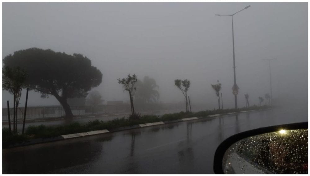תמונת היום בחיפה (צילום: רחלי אור)