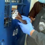 חלוקת מסיכות מגן לפנים לאסירים בכלא (צילום: דוברות שירות בתי הסוהר)