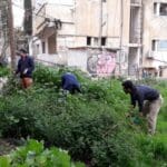 פרויקט הגינה הקהילתית ברחוב סירקין בחיפה (צילום: ניב אוז'לבו (עוז))