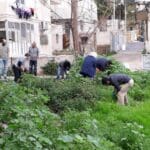 פרויקט הגינה הקהילתית ברחוב סירקין בחיפה (צילום: ניב אוז'לבו (עוז))