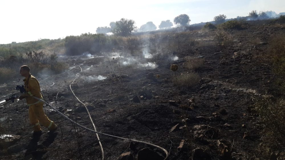 שריפה בשטח אש באזור אליקים (צילום: כבאות והצלה)