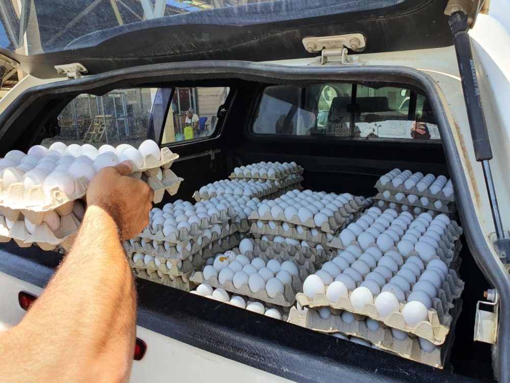 ביצים ( צילום משטרת ישראל)