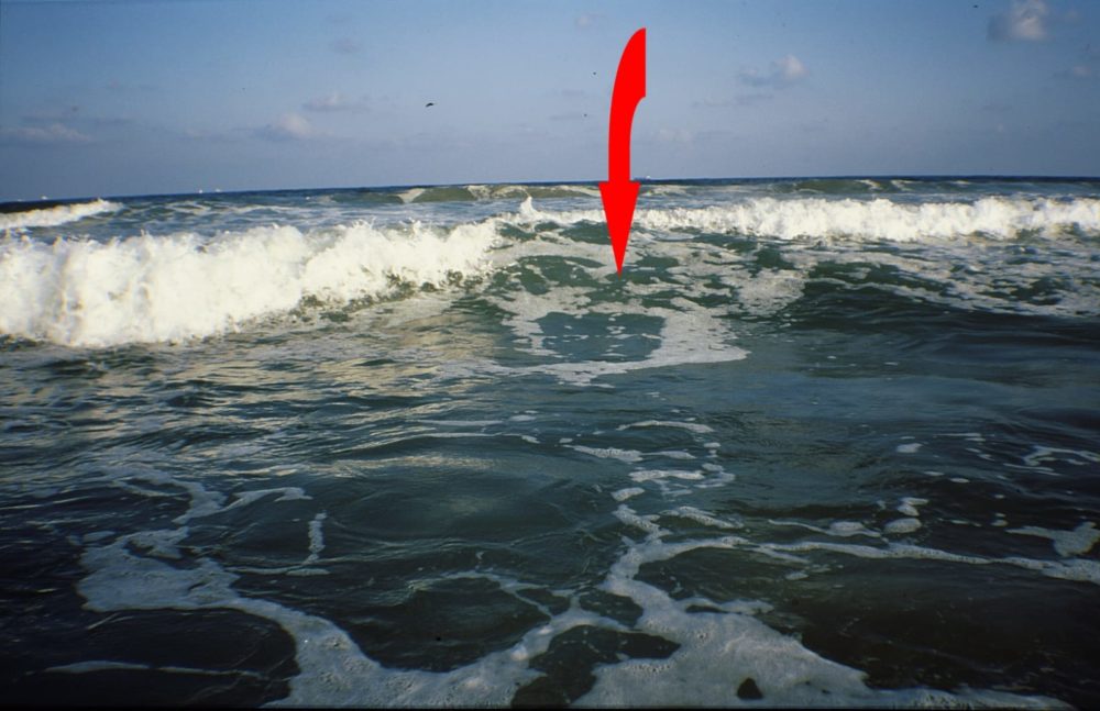 גל פריצה - זהו גל שנחצה ע"י זרמים חוזרים מהחוף (צילום: מוטי מנדלסון)