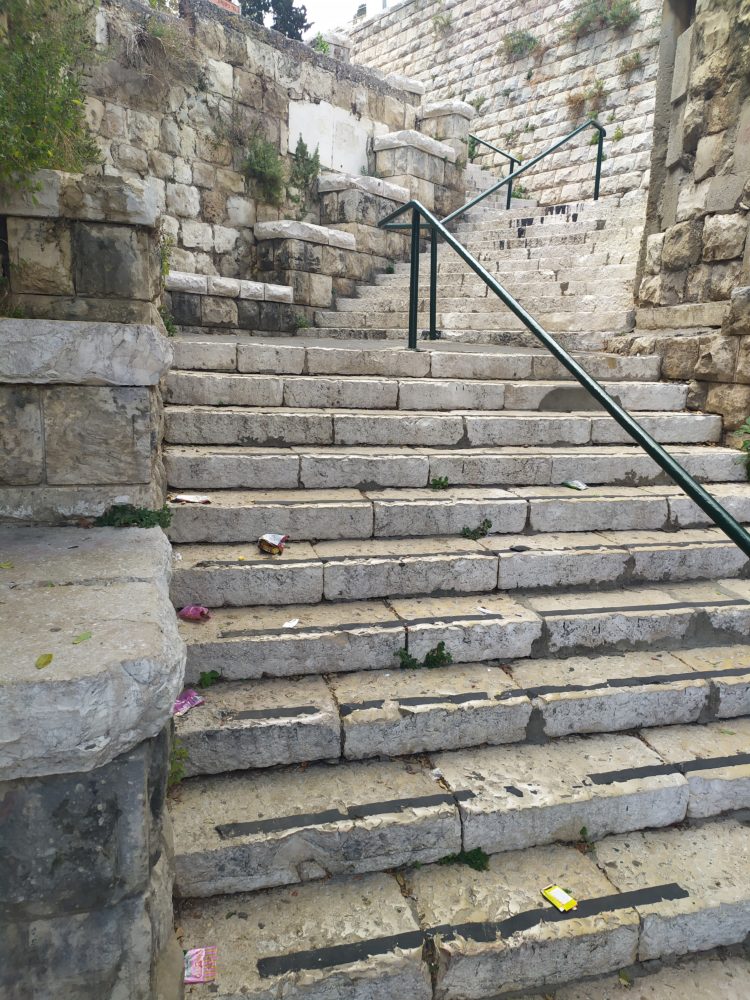 מדרגות חיפאיות (צילום: ד"ר יריב שגיא)