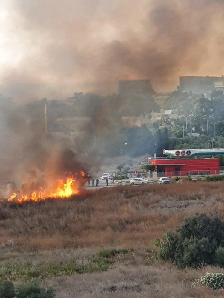 שריפה בגלי כרמל (צילום: ליאורה חזן)