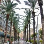 haipo news of haifa city 190820 (6)