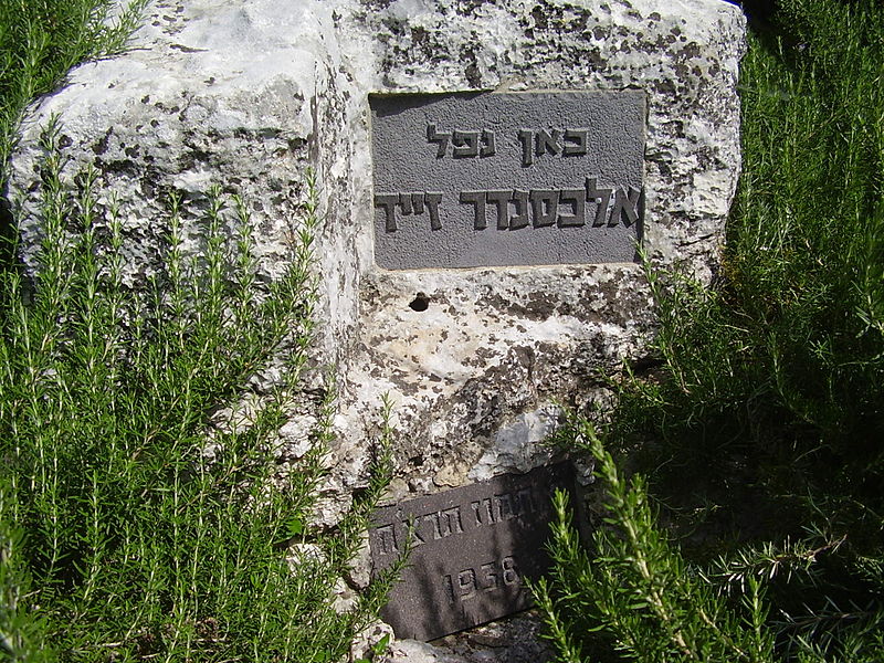 מקום נפילתו של אלכסנדר זייד (צילום:ד"ר אבישי טייכר, מתוך אתר פיקיויקי)