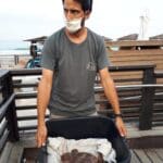 haipo news of haifa sea turtle 120920 (15)