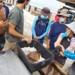 haipo news of haifa turtles 120920 (24)