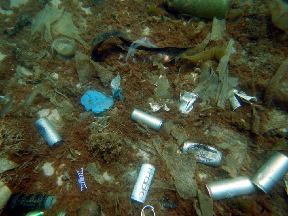 כמויות של פסולת שהגיעה אל הים (צילום: מוטי מנדלסון)
