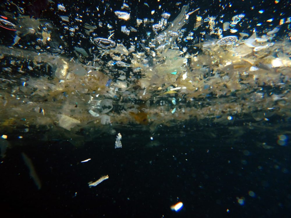 פסולת שהגיע אל הים (צילום: מוטי מנדלסון)