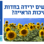 באנר מעיין עיניים מלבני מובייל