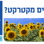 באנר מעיין עיניים מלבני מובייל