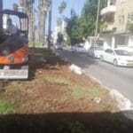 שדרת בת גלים (צילום: יעל שנער)