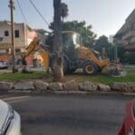 haipo news of haifa trees 011020 (3)