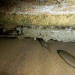 haipo news of haifa tunnels 011020 (3)