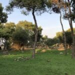 מצודה צלבנית עתיקה בלב חיפה – מצודת ראש מיה (צילום: ירון כרמי)