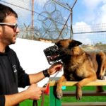 שניות מאסון הכרמל • כלב שמירה בכלא דמון (צילום: שירות בתי הסוהר)