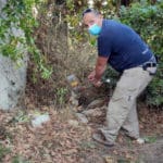 תן נתקע בכד פלסטיק בחיפה, עת שחיפש שאריות מזון בחיפה (צילום: ארנון וילנסקי)