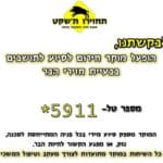 מוקד לטיפול בחזירי בר בחיפה (צילום: "מחזירים את החזירים לטבע")