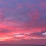 haipo news of haifa sunset 241120 (1)