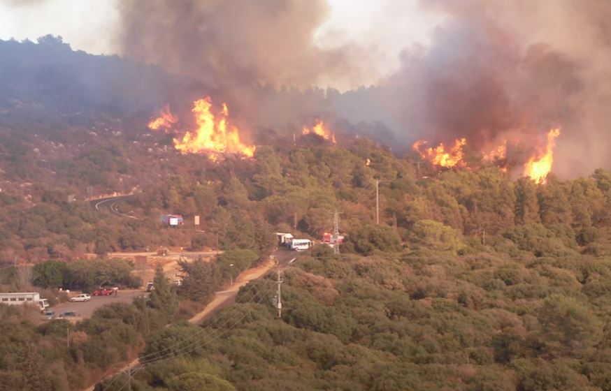 השרפה בכרמל (צילום מסך מתוך הסרט: 