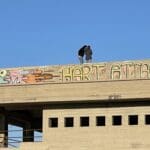 מטיילות על גג מבנה הקזינו הנטוש (צילום: ירון כרמי)