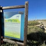 שפך נחל עליה – תנועת דלילה בטיילת הכט בעת הסגר (צילום: ירון כרמי)