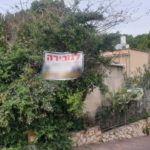 שלטים על עצים בחיפה | פרויקט מיוחד לכבוד טו בשבט (צילום: חי פה)