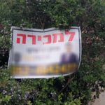 שלטים על עצים בחיפה | פרויקט מיוחד לכבוד טו בשבט (צילום: חי פה)