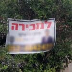 שלטים על עצים בחיפה | פרויקט מיוחד לכבוד טו בשבט (צילום: חי פה)