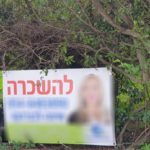 WhatsApp Image 2021-01-28 at 11.24.07שלטים על עצים בחיפה | פרויקט מיוחד לכבוד טו בשבט (צילום: חי פה)