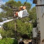 מטפלים במפגע – חברת החשמל ועיריית חיפה במהלך התיקונים ברחוב האילנות (צילום: ירון ציפורי)